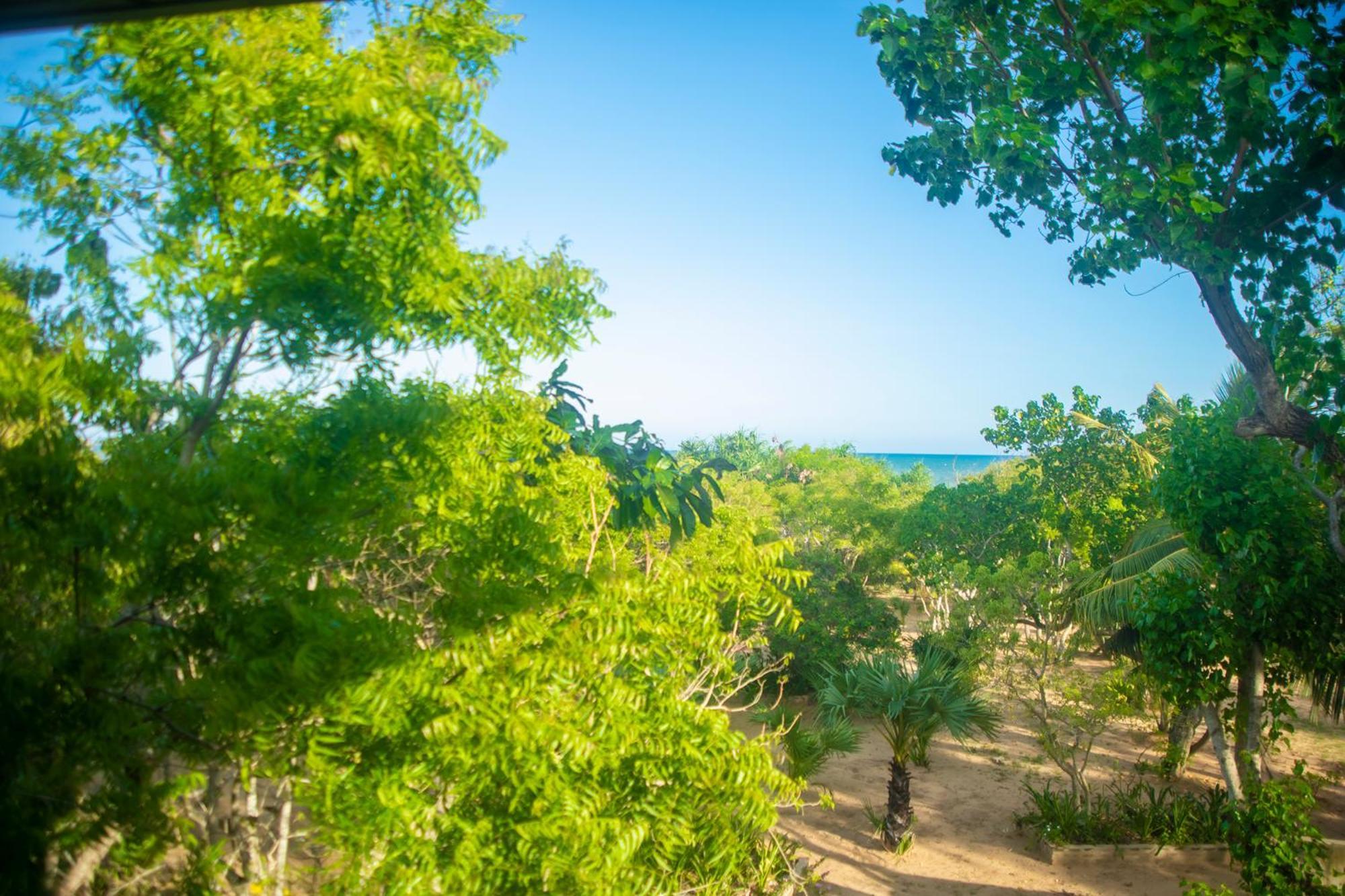 Nikara Luxury Beach House Тиссамахарама Экстерьер фото
